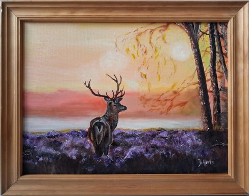 Hert bij zonsopkomst