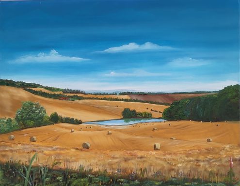 Frankrijk Korenvelden